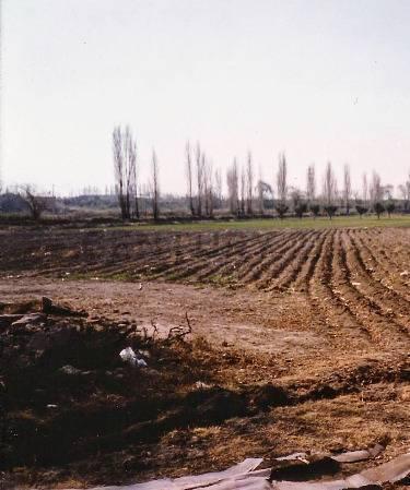 Depósito · 8m²