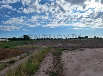 Terreno · 20000m² · Venta Terreno 2 Ha en Guaymallen - Ideal Loteo o Finca