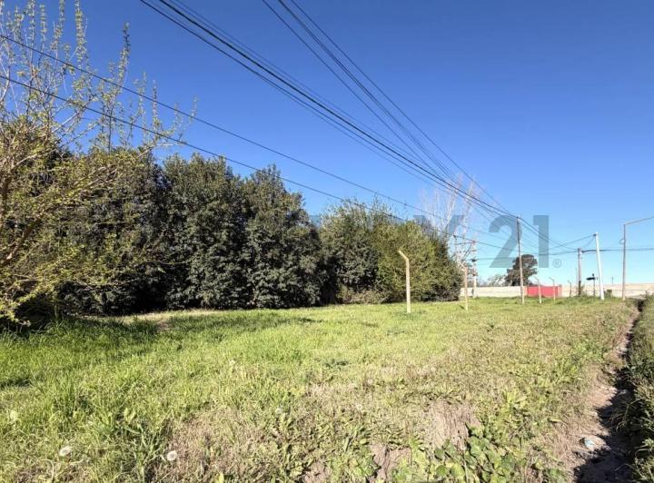 Terreno · 359m²