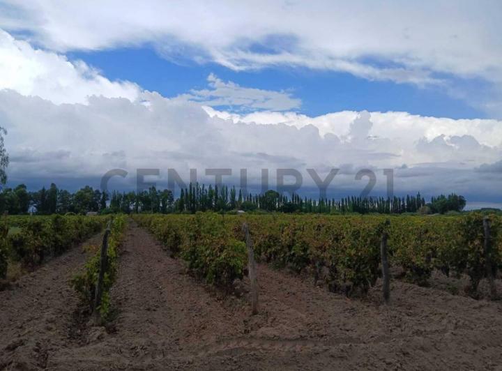 Depósito · 457m² · 6 Ambientes
