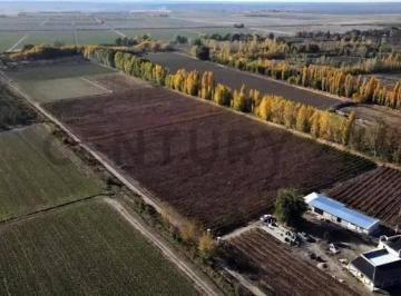 Terreno · 754m² · 2 Ambientes · 1 Cochera · Viñedo, San Carlos, Chilecito