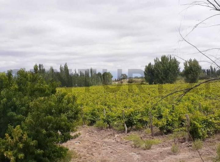 Terreno · 12m²