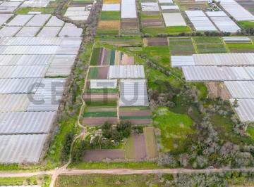 Terreno · 100m² · Venta de 5 Hectares Agricolas