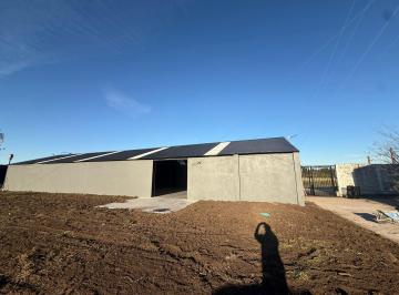 Bodega-Galpón · 300m² · Galpón en Alquiler
