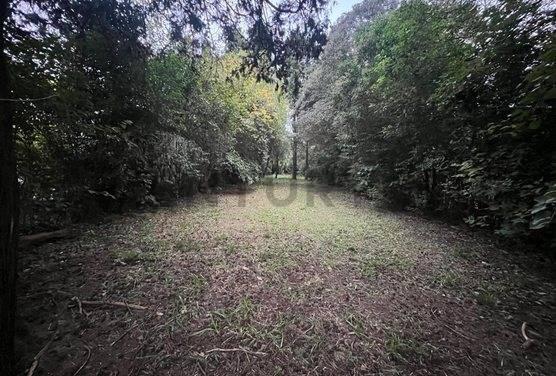 Terreno · 460m²