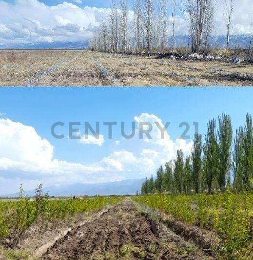 Terreno · 50m²