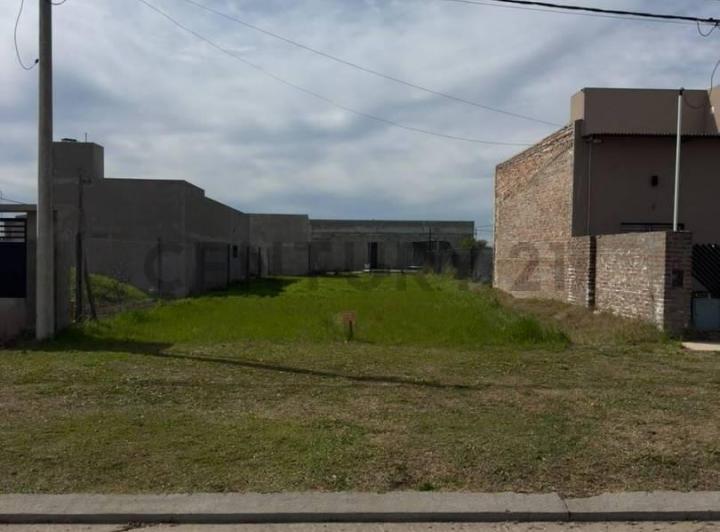Terreno · 310m²