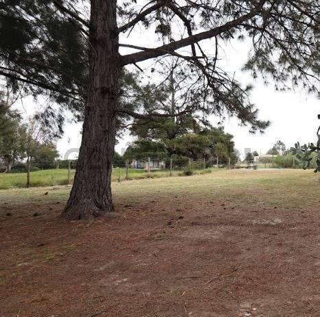 Terreno · 327m²