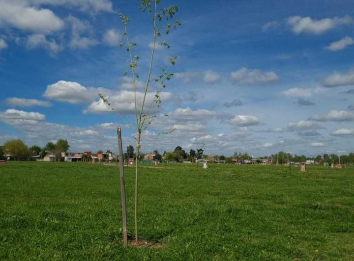 Terreno · 600m²