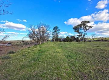 Terreno · 80m² · Campo de 25 Hectáreas – 11 Ha Agrícolas + Sector Ganadero. Elortondo