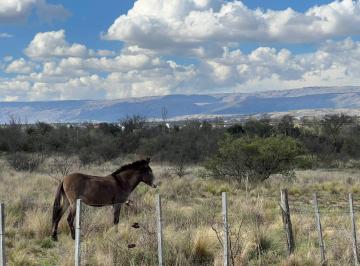 Terreno · 18952m² · Importantes Fracciones de Terreno en Nono - Acceso Privado Al Río