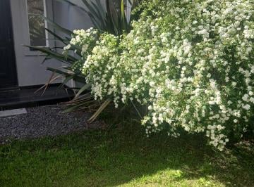 Casa de 4 ambientes, Pilar · Linda Casa Una Planta Los Tilos La Cañada de Pilar