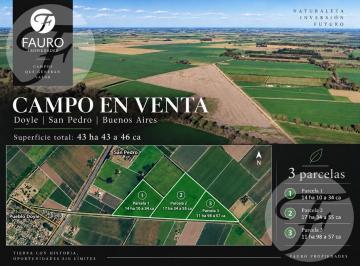 Campo · 43ha · Campo Agrícola de 43,43 Hectáreas en Venta – 3 Parcelas Independientes – Doyle, San Pedro