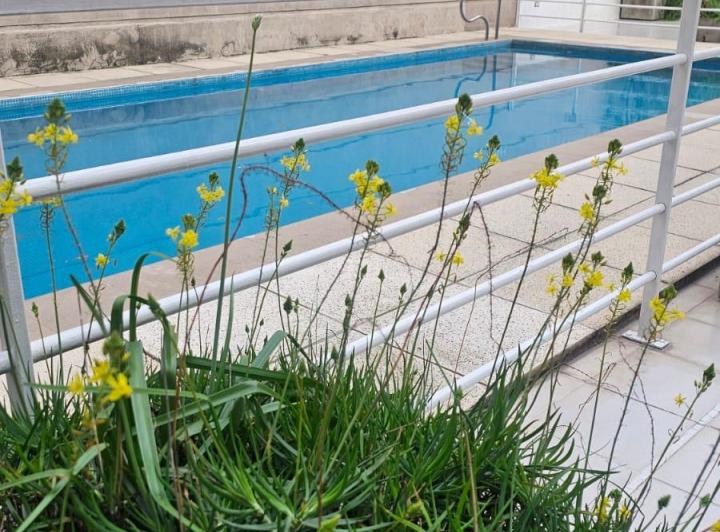 Departamento · 37m² · 1 Ambiente