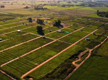 Terreno · 300m² · Venta de Lote 300 m² en La Reserva del Oeste