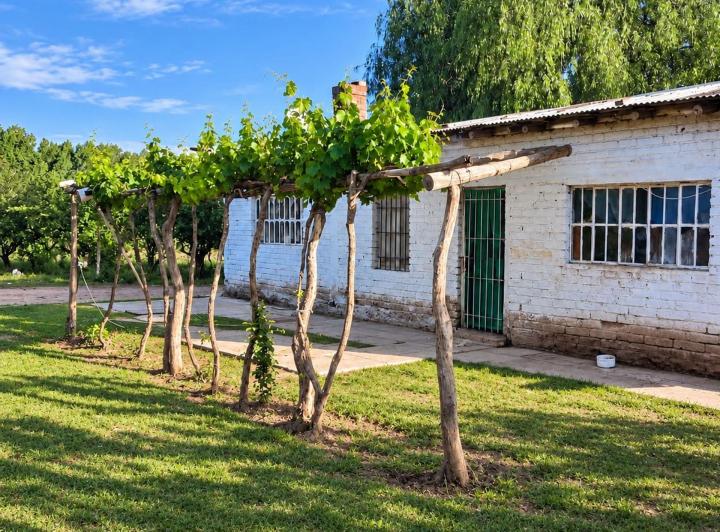 Campo · 700ha