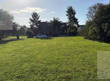 Terreno · 800m² · Venta - Terreno - Lote - Barrio Santo Domingo
