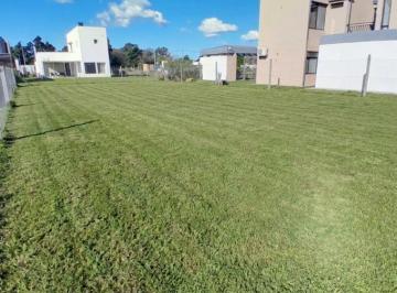 Terreno · 366m² · Terreno en Venta en 23 E/656 y 657