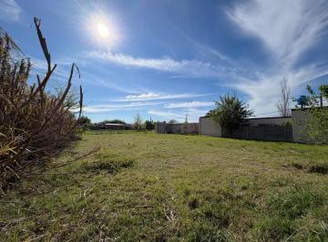 Terreno · 353m² · Re/max Vende Lote Lehmann/oportunidad