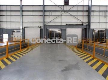 Depósito · 9000m² · Depósito 9000 m² en Alquiler Dentro de Predio Cerrado en General Pacheco