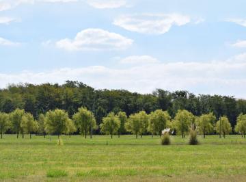 Terreno · 2471m² · Lote Campos de Roca II Venta Brandsen