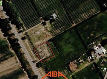 Terreno · 10000m² · Alquiler de Terreno Frente a Ruta 7 en Vista Alegre Norte