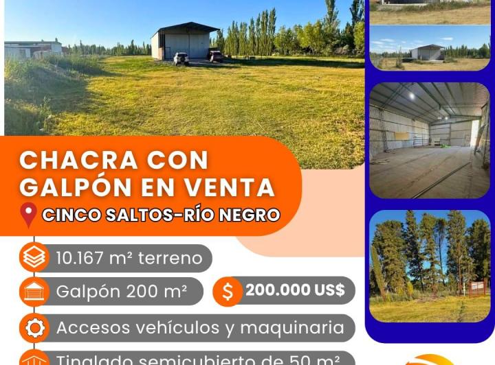Bodega-Galpón · 200m²