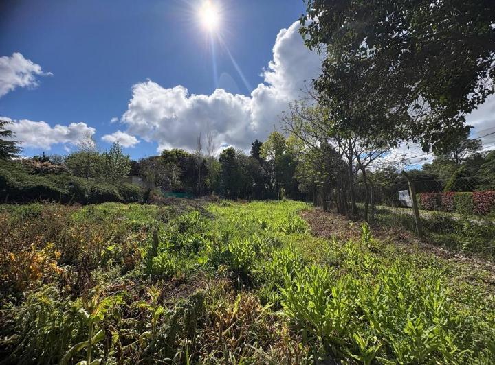 Terreno · 1500m²