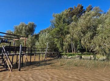 Foto · Venta Isla - Delta Tigre