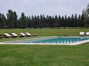 Campo · 421m² · Campo en Venta de Los Cardales 4,3 Hectáreas y 421 m² Edificados. Entorno de Barrios Cerrados.