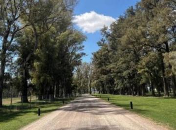 Terreno · 1277m² · Oportunidad Venta de Terreno en La Isla - Tres Pinos