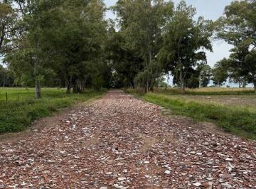 Terreno , Cañuelas · Cañuelas Ruta 3 Km 72 Terreno