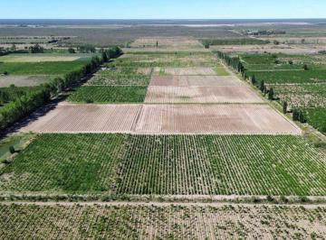 Campo , Santa Rosa · Vende Finca Dos Fracciones con D°a Riego – Santa Rosa