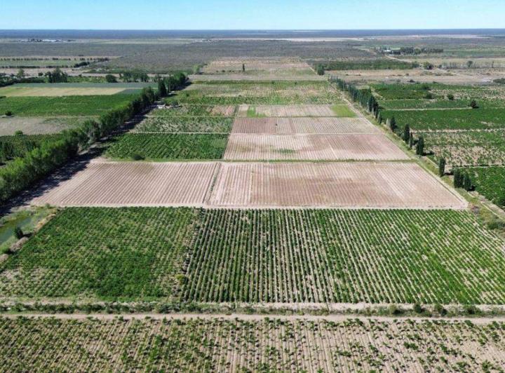 Campo · 120m²