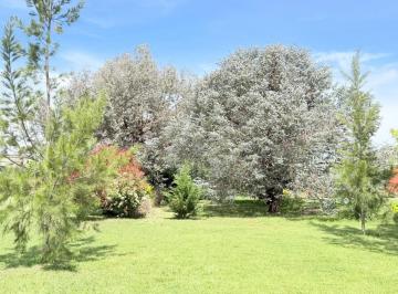 Terreno · 840m² · Terreno Lote en Venta en Casuarinas del Pilar, Zelaya, Pilar