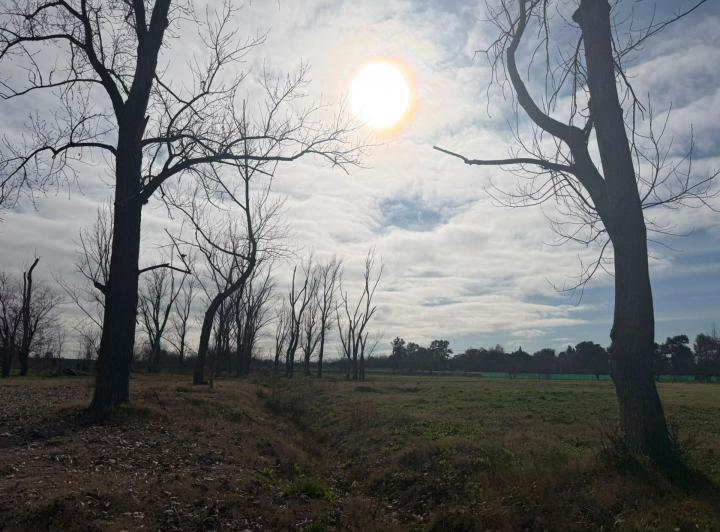 Terreno · 60m²
