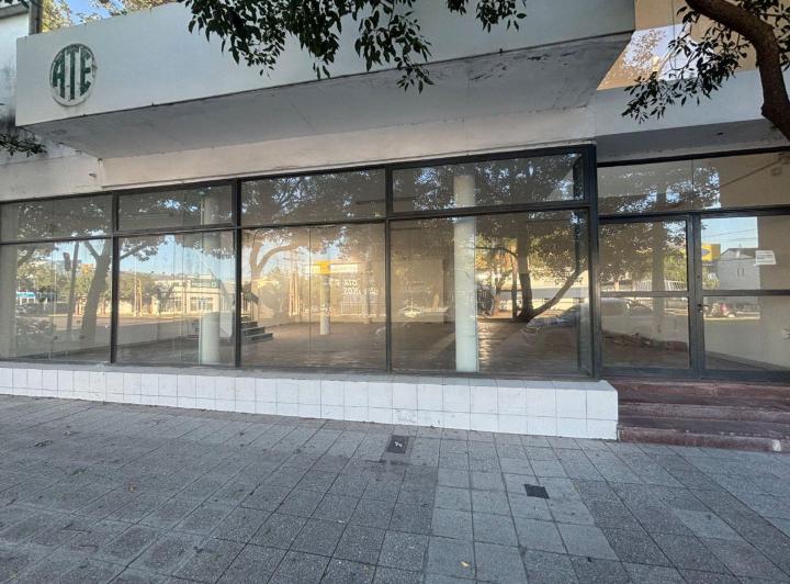 Local comercial · 440m² · 3 Cocheras