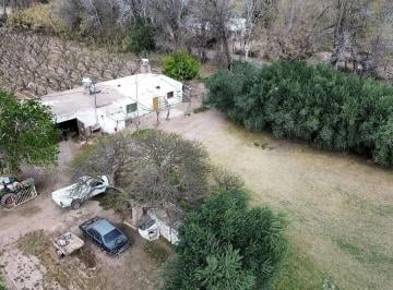 Campo , Villa Tulumaya · Finca 11 Ha con Membrillo y Ciruela - D° de Riego y Pozo