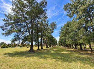 Terreno , Roldán · Venta Terreno, Barrio El Molino, Roldán, Gas Natural, Usd 39.000, Financiación. Escritura Inmediata