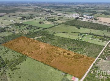 Campo · 9,88 Has a 1.635 m Al Este de Autovía Ruta N° 14. Ejido Colon.