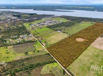 Terreno · 40ha · 40 Hectáreas Aptas Para Proyecto de Loteo. Ejido Colon.