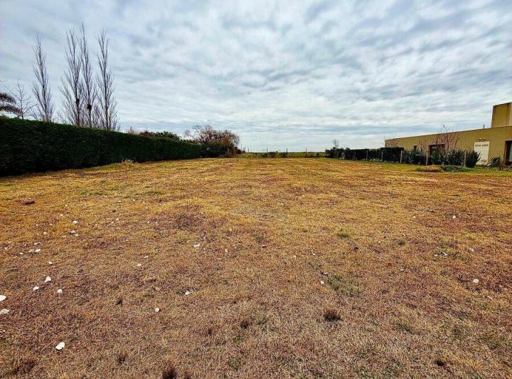 Terreno · 1650m²