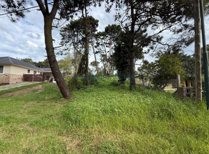 Terreno · 555m²