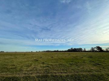 Terreno , Cañuelas · Venta Terreno / Lote en Cañuelas