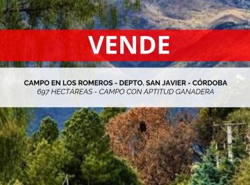 Campo , Villa Dolores · Campo en Venta en Capilla de Los Romeros - Pedania Luyaba - Depto San Javier - Cordoba