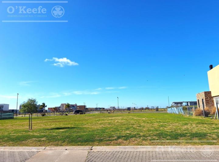Terreno · 700m²