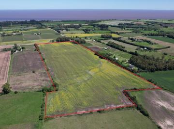 Campo · 154000ha · Chacra de 15 Hectáreas en Venta en Colonia | Potencial de Fraccionamiento y Producción