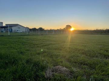 Terreno · 1m² · Lote en Terranostra 1