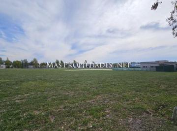Terreno , Brandsen · Venta Terreno / Lote Interno en Campos de Roca II