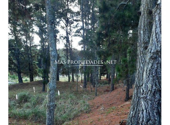 Terreno · 958m²